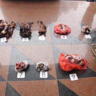 长沙 鸟笼相关长尾关键词有哪些