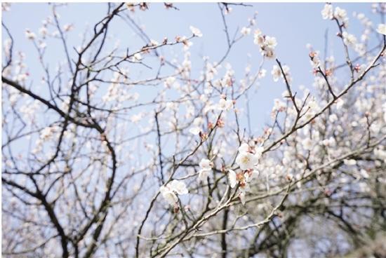 【柯桥疫情最新消息
 /柯桥疫情最新消息今天】