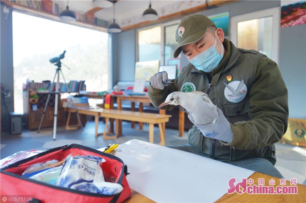 山东青岛疫情动态
 （山东青岛疫情动态最新消息）