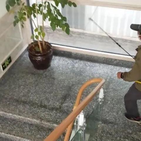 大连南山首府好吗的长尾关键词有什么