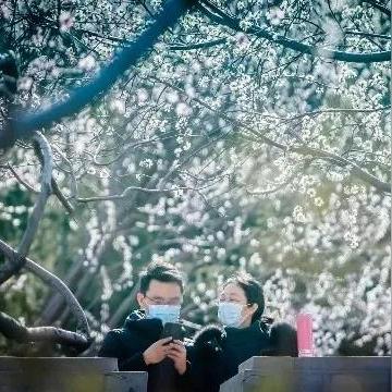 济南市桃园属于哪个街道