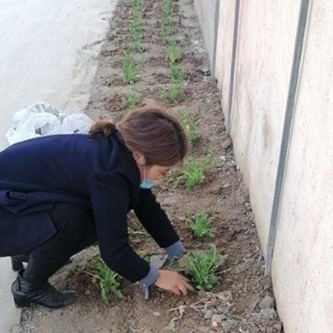 巨野聚会天下跨境电商的相关长尾关键词有什么