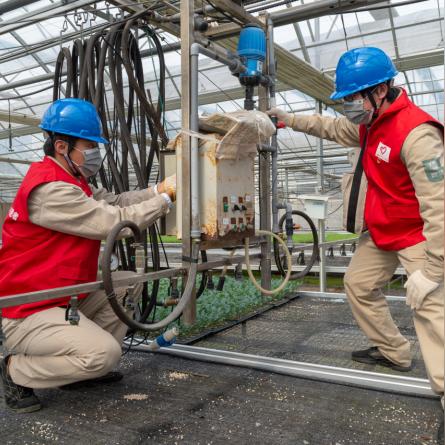 苏州市常熟市大棚配件厂的长尾关键词有什么