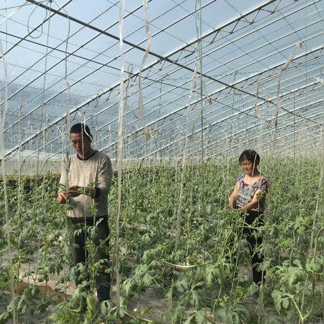 河南哪个市最 穷最落后