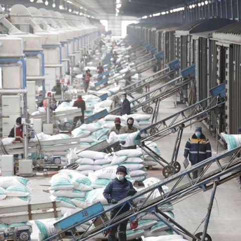 哈尔滨能源供需相关长尾关键词有哪些