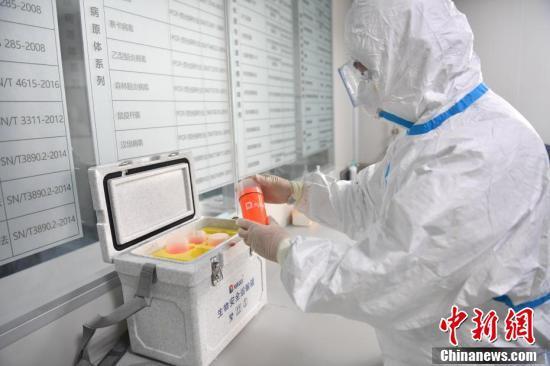 31省新增19境外输入
 /31省新增18境外输入