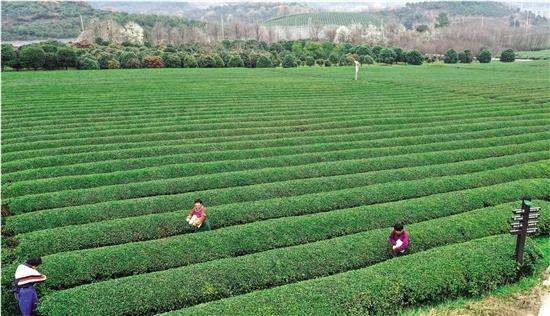 【柯桥疫情最新消息
 /柯桥疫情最新消息今天】