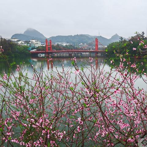 桂林市四湖玻璃桥在哪里