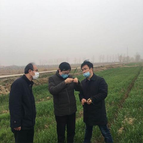 享湖区天气的长尾关键词有哪些