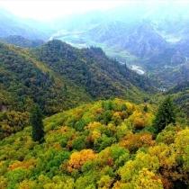 兰州市明天植树节在哪里