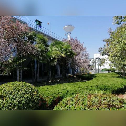 永煤集团本部哪个矿最好？