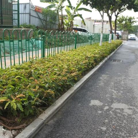 厦门市违停多久免罚