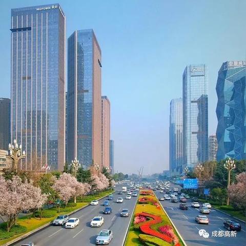 成都市小孩社保怎么交费