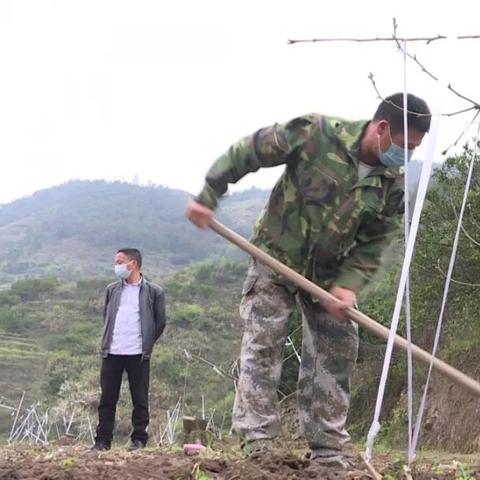 杭州市农科院怎么样6