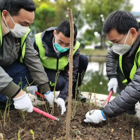 石家庄市明珠家园的长尾关键词有哪些