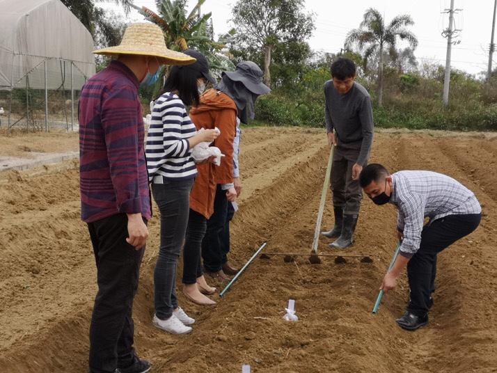 陽(yáng)江柑橘種植手藝價(jià)格_太湖水域面積劃分