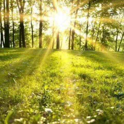 河北省邯郸市二十三中南的长尾关键词有哪些