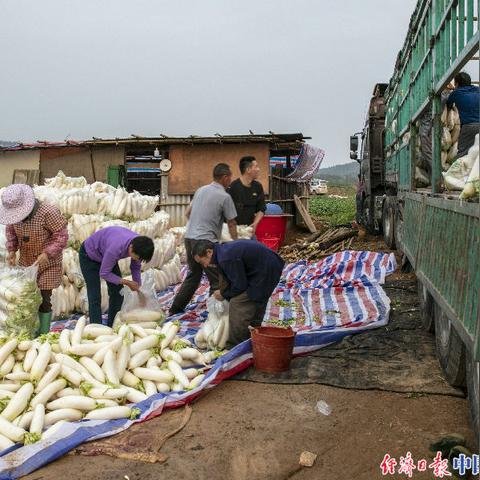 南宁市二十中学校怎么样