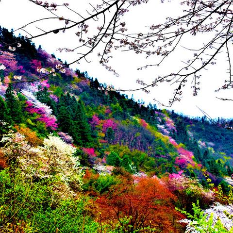 全州在桂林市哪里