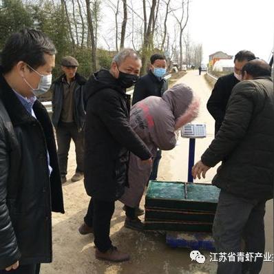 江苏泗阳明天天气预报的长尾关键词有哪些