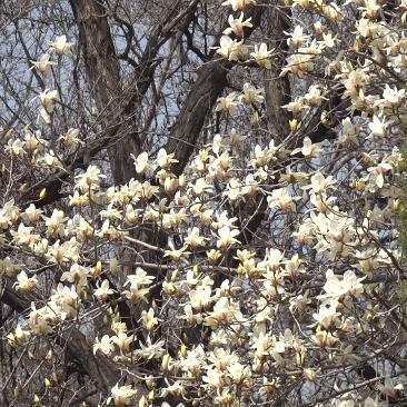 山东省潍坊市甘蓝苗种植基地的长尾关键词有什么