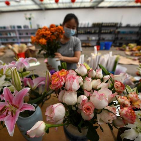 石家庄市的花市在哪里