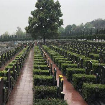 成都市的公墓哪里的较好
