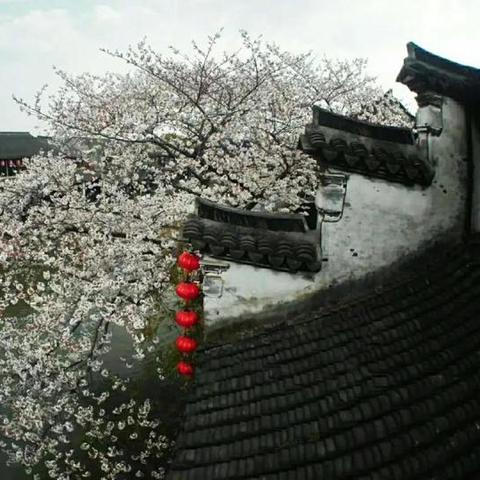 武汉到西塘怎么去方便的长尾关键词有哪些