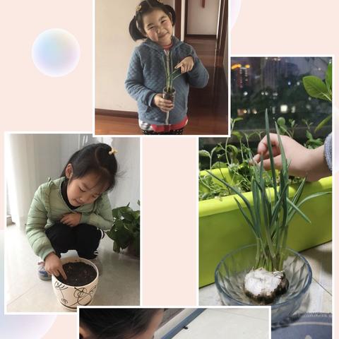 合肥南站防疫出站要求？