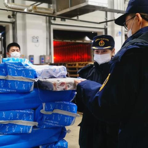 大连市网络运营哪个好干