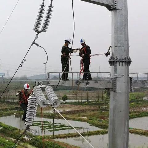 武汉市黄金口属哪个区