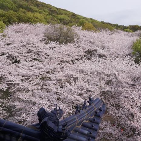 无锡市星阁美容馆地址在哪里