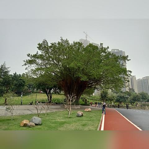 夫妻年龄差多少？一张命盘告诉你