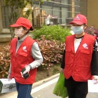 武汉市中招志愿者怎么填？