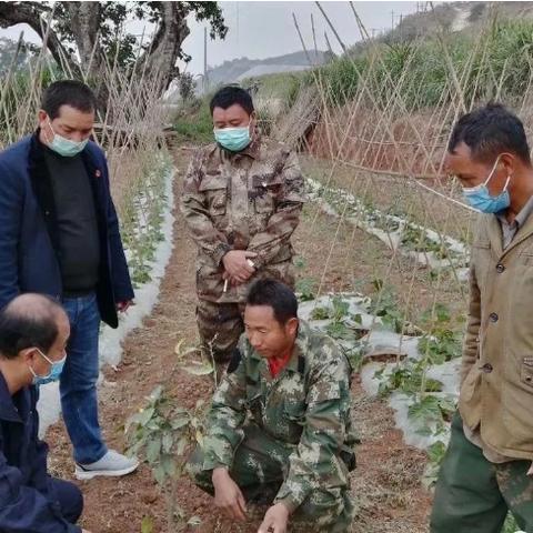西安出发芒市的相关长尾关键词有哪些