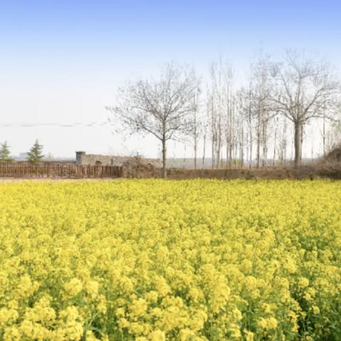 河北省邯郸市冀南新区拆迁图的长尾关键词有什么