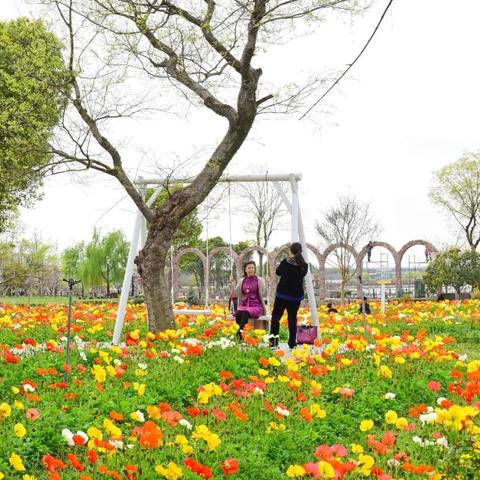 无锡市哪里野炊最好吃的