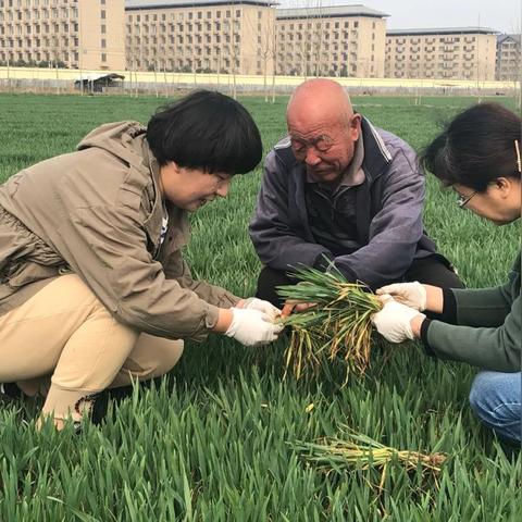 石家庄市农业局在哪里呢