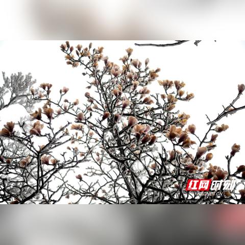 湖南天门山天气的长尾关键词有哪些
