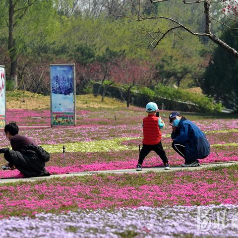 石家庄市开业鲜花的长尾关键词有哪些