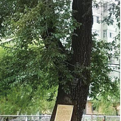哈尔滨市哪里理发比较好