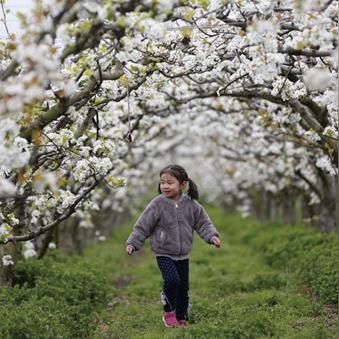 南通到海安直达物流专线相关长尾关键词有哪些