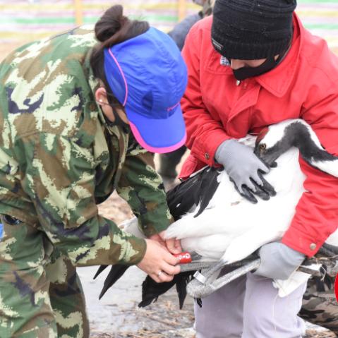 哈尔滨市哪些地方免费玩