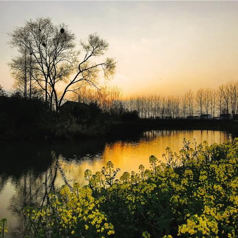 南通市春花相关长尾关键词有哪些