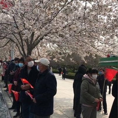 潍坊市樱花人民广场在哪里