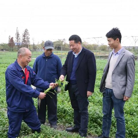 哈尔滨秋林公司总经理相关长尾关键词有哪些