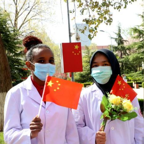 武汉天津哪个大学好一点