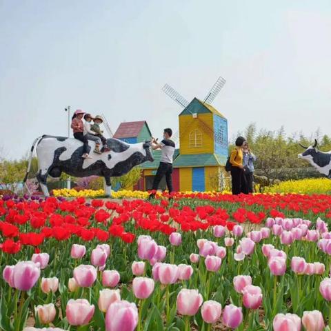 临沂市哪里举办赏花季