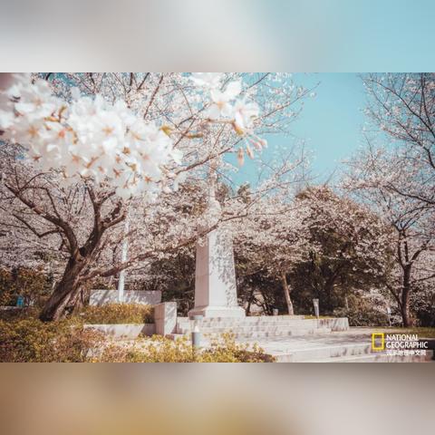 武汉男士医院只问搏大的相关长尾关键词有哪些