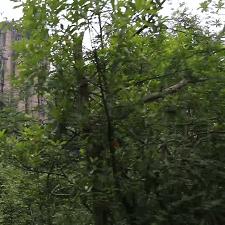 福建体考时间？